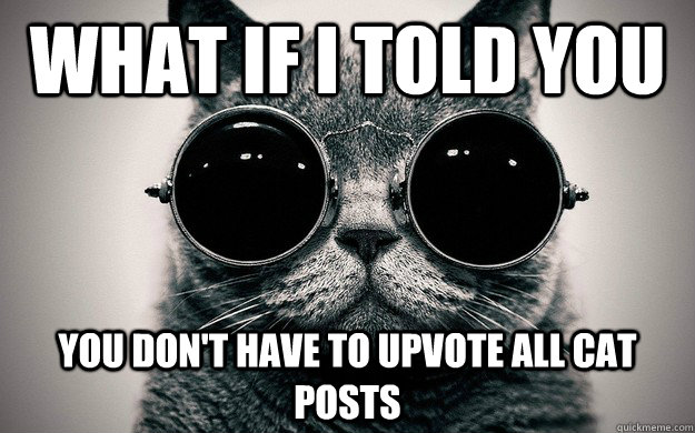 What if i told you You don't have to upvote all cat posts  
