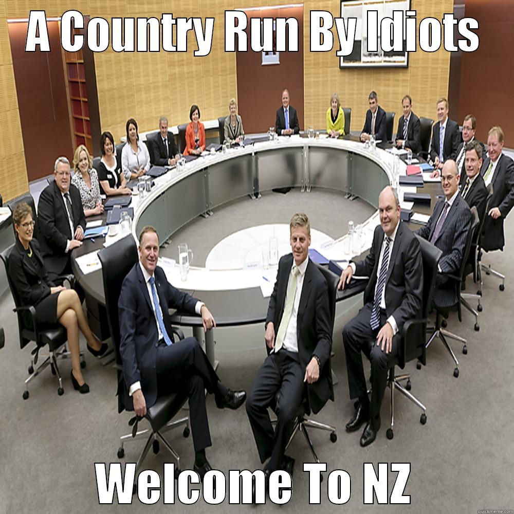 A COUNTRY RUN BY IDIOTS WELCOME TO NZ Misc