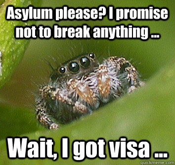 Asylum please? I promise not to break anything ... Wait, I got visa ...  Misunderstood Spider