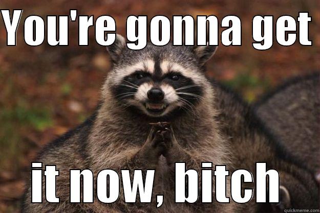 You're gonna get it - YOU'RE GONNA GET  IT NOW, BITCH Evil Plotting Raccoon
