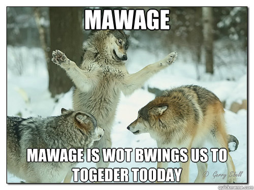 Mawage Mawage is wot bwings us to togeder tooday - Mawage Mawage is wot bwings us to togeder tooday  Misc