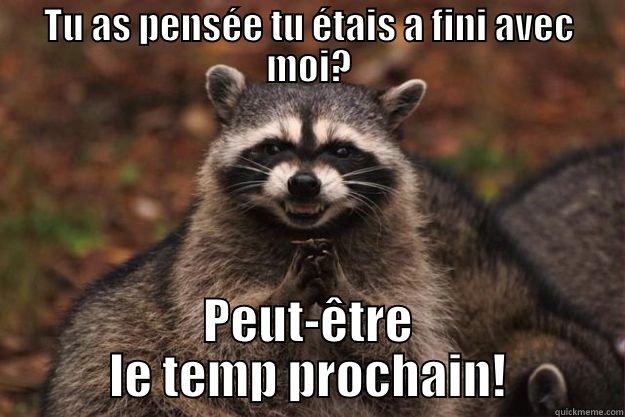 TU AS PENSÉE TU ÉTAIS A FINI AVEC MOI? PEUT-ÊTRE LE TEMP PROCHAIN! Evil Plotting Raccoon