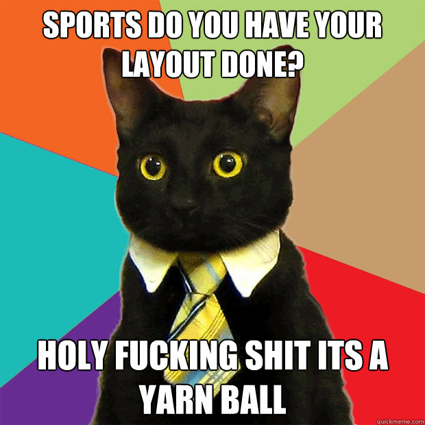 Sports do you have your layout done? holy fucking shit its a yarn ball  Business Cat