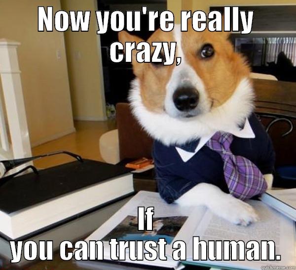 NOW YOU'RE REALLY CRAZY, IF YOU CAN TRUST A HUMAN. Lawyer Dog