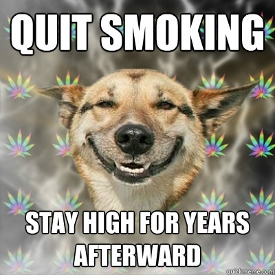 quit smoking stay high for years afterward  Stoner Dog