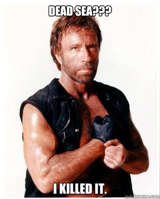 DEAD SEA??? I KILLED IT. - DEAD SEA??? I KILLED IT.  Chuck Norris