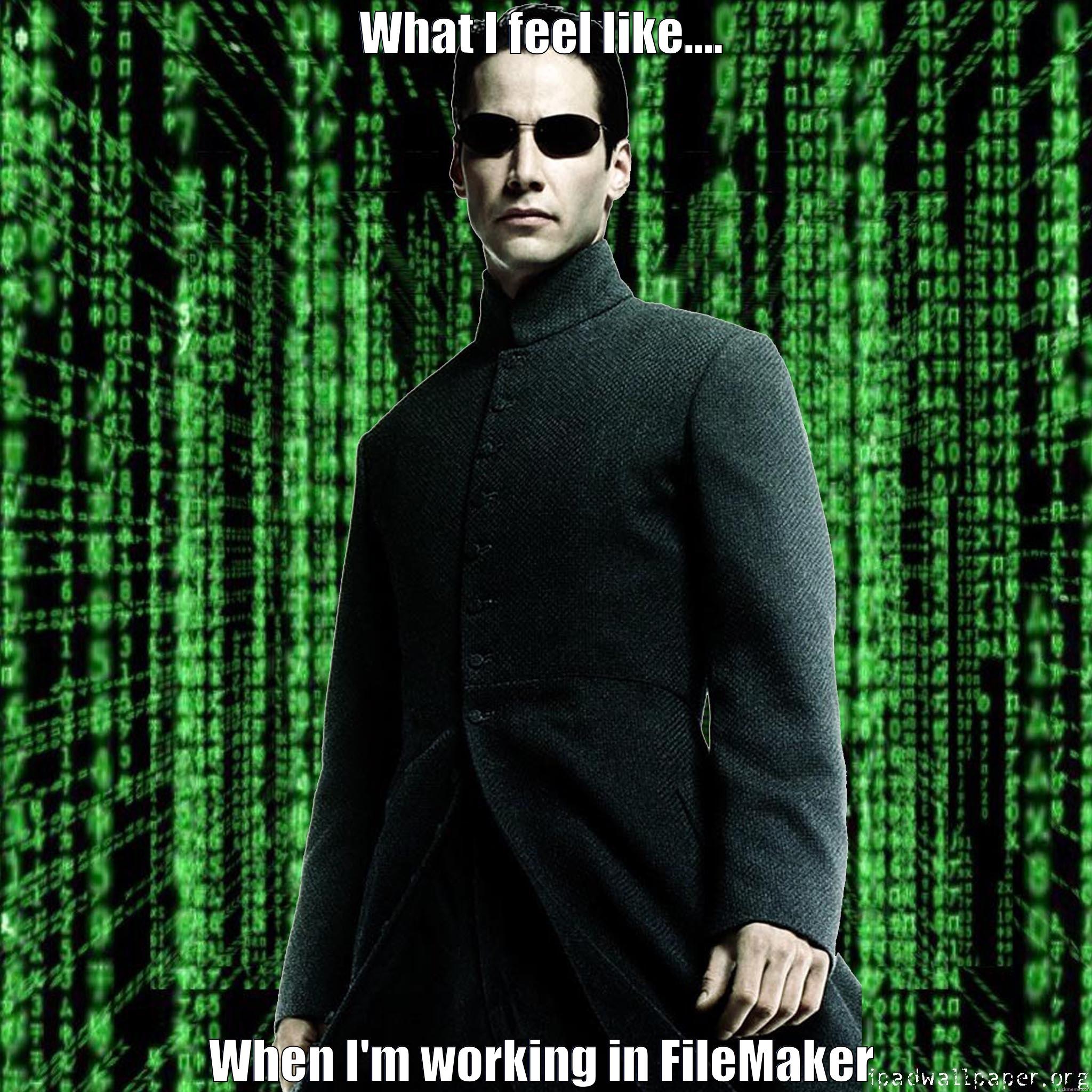 WHAT I FEEL LIKE.... WHEN I'M WORKING IN FILEMAKER Misc