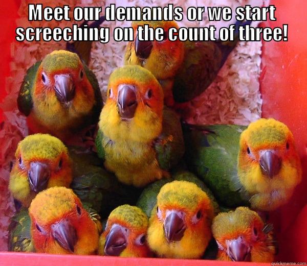 MEET OUR DEMANDS OR WE START SCREECHING ON THE COUNT OF THREE!  Misc