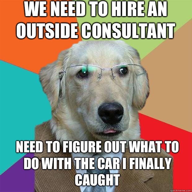 We need to hire an outside consultant  Need to figure out what to do with the car I finally caught  Business Dog