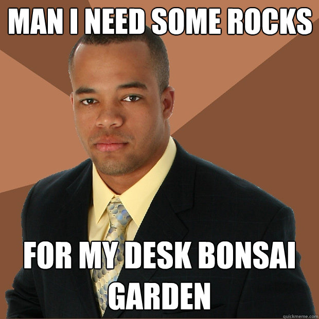 MAN I NEED SOME ROCKS for my desk bonsai garden  Successful Black Man