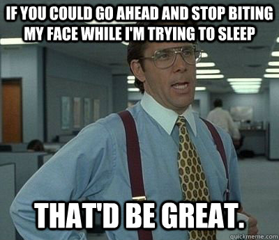 IF YOU COULD GO AHEAD AND STOP BITING MY FACE WHILE I'M TRYING TO SLEEP That'd be great.  Bill lumberg