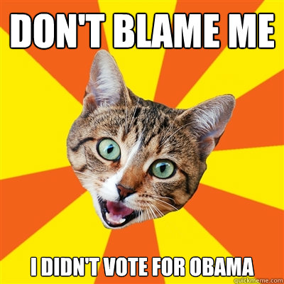 Don't blame me I didn't vote for Obama  Bad Advice Cat