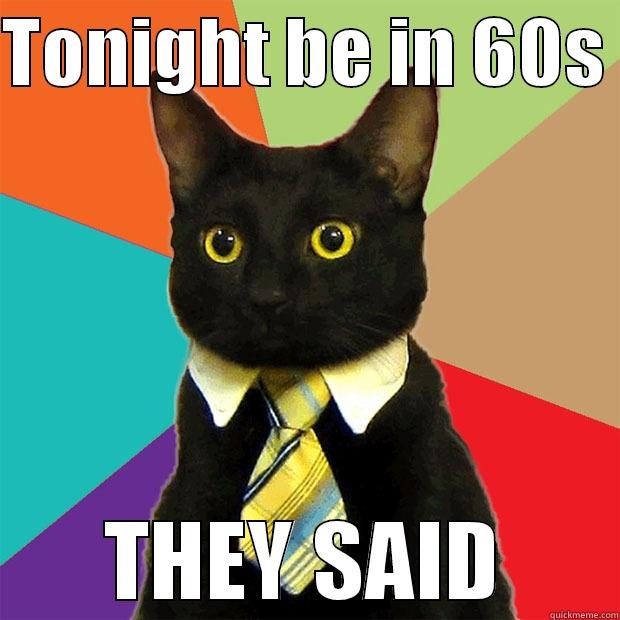 TONIGHT BE IN 60S  THEY SAID Business Cat