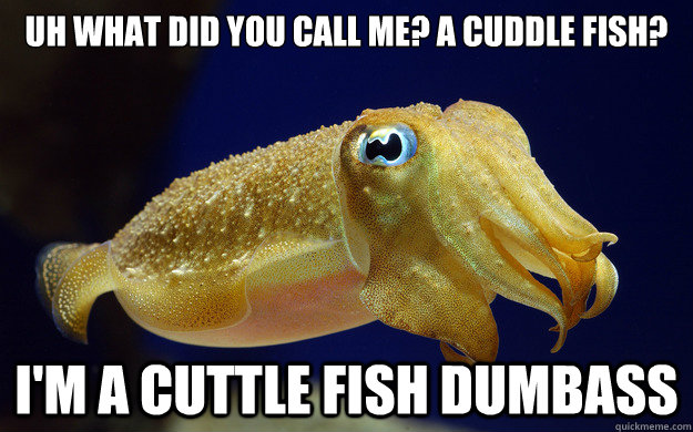 Uh what did you call me? a cuddle fish? I'm a cuttle fish dumbass - Uh what did you call me? a cuddle fish? I'm a cuttle fish dumbass  cute cuttlefish