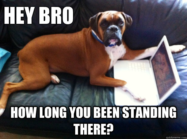 hey bro HOW LONG YOU BEEN STANDING THERE?  Oblivious Boxer