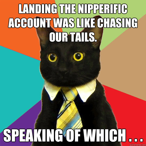 Landing the Nipperific account was like chasing our tails. Speaking of which . . .  Business Cat