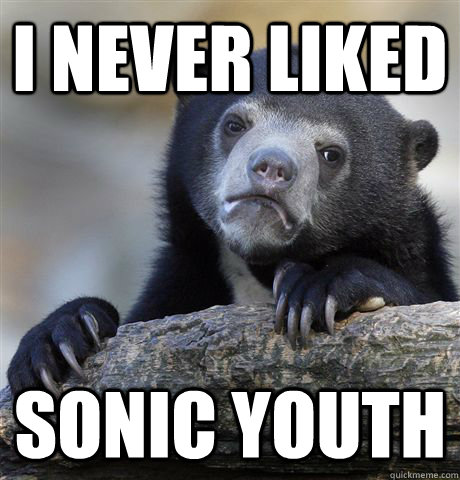 I never liked Sonic Youth  Confession Bear