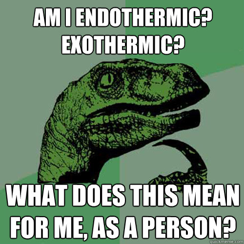 Am I endothermic? exothermic? What does this mean for me, as a person?  Philosoraptor