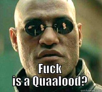  FUCK IS A QUAALOOD? Matrix Morpheus