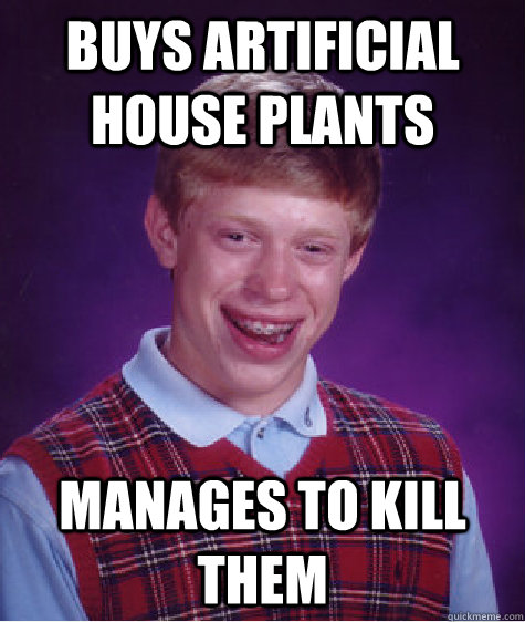 buys artificial house plants manages to kill them - buys artificial house plants manages to kill them  Bad Luck Brian