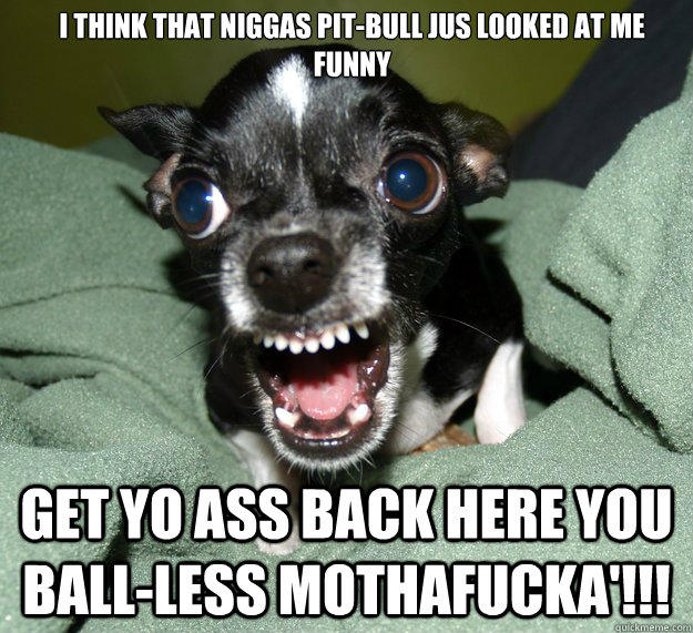I think that niggas pit-bull jus looked at me funny



 get yo ass back here you ball-less mothafucka'!!!  