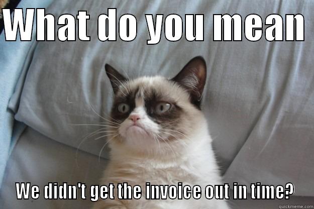 WHAT DO YOU MEAN  WE DIDN'T GET THE INVOICE OUT IN TIME? Grumpy Cat