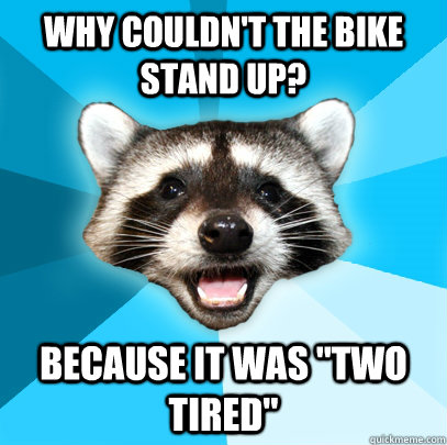 WHY COULDN'T THE BIKE STAND UP? BECAUSE IT WAS 