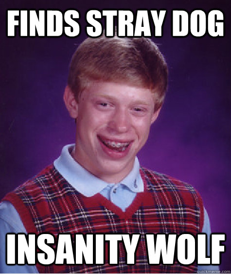 Finds stray dog Insanity Wolf  Bad Luck Brian