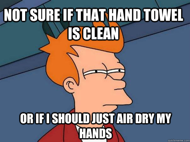 Not sure if that hand towel is clean  or if I should just air dry my hands   Futurama Fry