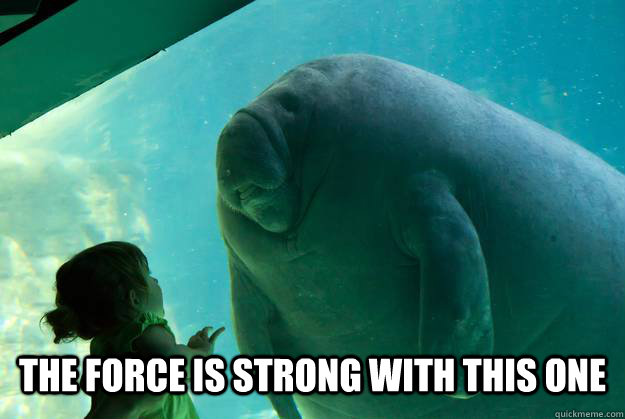  the force is strong with this one -  the force is strong with this one  Overlord Manatee