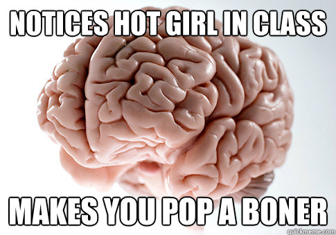 notices hot girl in class makes you pop a boner  Scumbag Brain