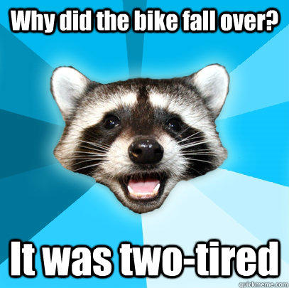 Why did the bike fall over? It was two-tired  Lame Pun Coon
