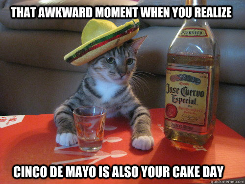 That Awkward Moment when you realize Cinco de Mayo is also your cake day  Cinco de Mayo