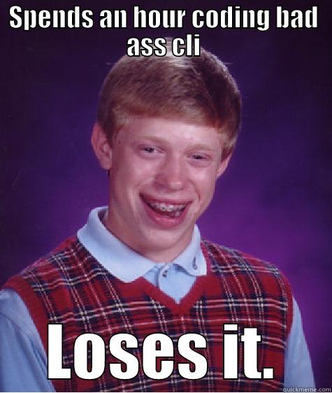 SPENDS AN HOUR CODING BAD ASS CLI LOSES IT. Bad Luck Brian