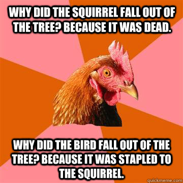 Why did the squirrel fall out of the tree? Because it was dead. Why did the bird fall out of the tree? Because it was stapled to the squirrel.  Anti-Joke Chicken