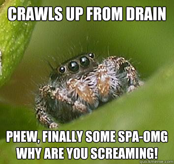 Crawls up from drain Phew, finally some spa-OMG why are you screaming!  Misunderstood Spider