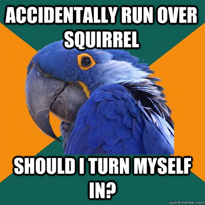 Accidentally run over squirrel should i turn myself in?  Paranoid Parrot