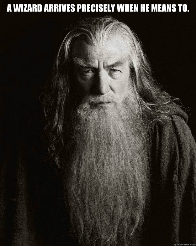 A WIZARD ARRIVES PRECISELY WHEN HE MEANS TO.   Gandalf