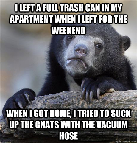 I left a full trash can in my apartment when I left for the weekend When I got home, I tried to suck up the gnats with the vacuum hose - I left a full trash can in my apartment when I left for the weekend When I got home, I tried to suck up the gnats with the vacuum hose  Confession Bear