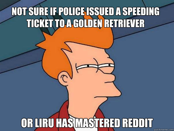 Not sure if police issued a speeding ticket to a golden retriever Or Liru has mastered Reddit  Futurama Fry