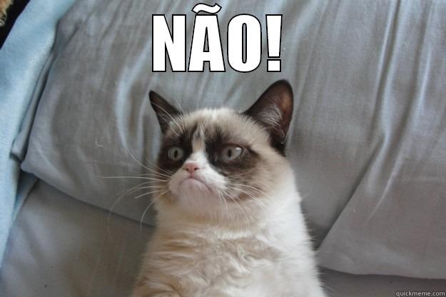 NÃO!  Grumpy Cat