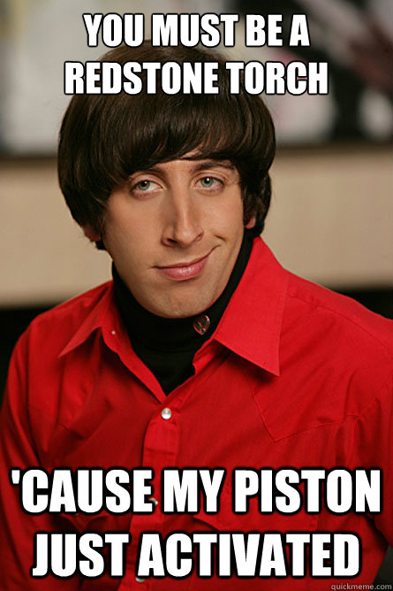 You must be a redstone torch 'Cause my piston just activated - You must be a redstone torch 'Cause my piston just activated  Pickup Line Scientist