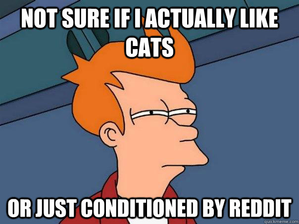 Not sure if I actually like cats Or just conditioned by reddit  Futurama Fry