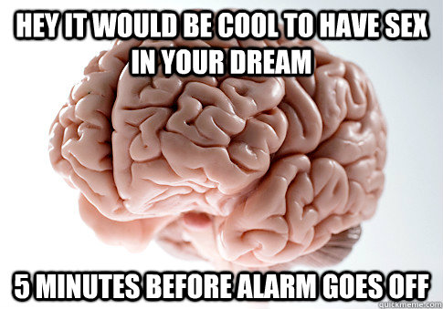 Hey it would be cool to have sex in your dream 5 minutes before alarm goes off  Scumbag Brain