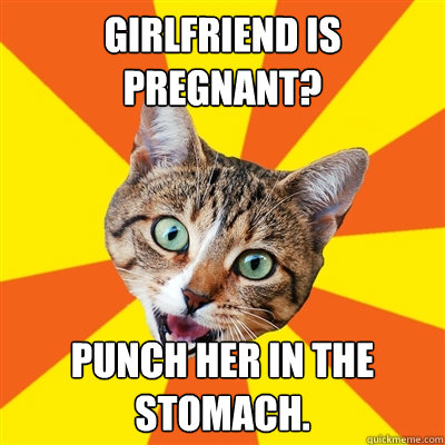 girlfriend is pregnant?  punch her in the stomach.  Bad Advice Cat