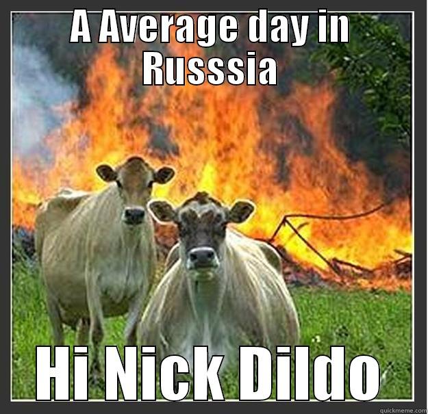 A AVERAGE DAY IN RUSSSIA HI NICK DILDO Evil cows