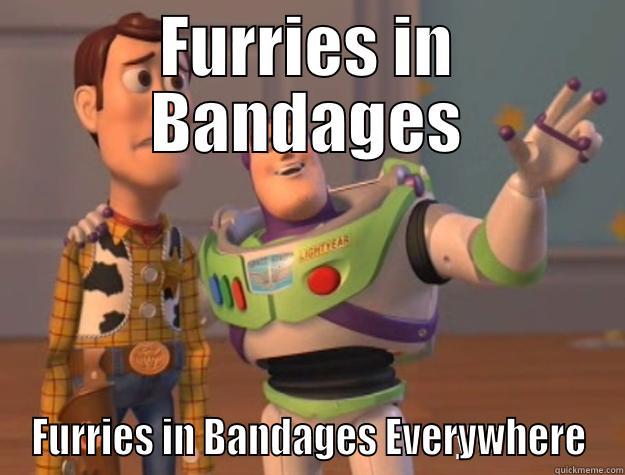 FURRIES IN BANDAGES FURRIES IN BANDAGES EVERYWHERE Toy Story