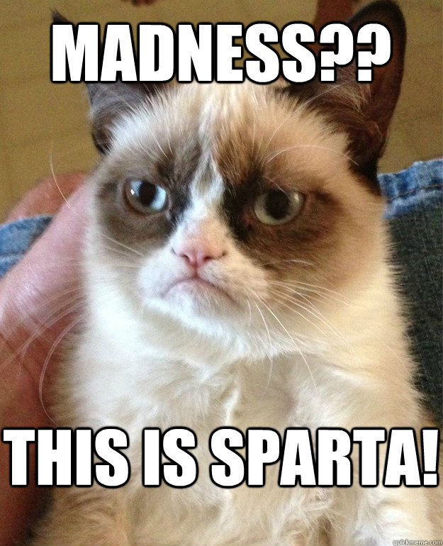 Madness?? THIS IS SPARTA!  Grumpy Cat