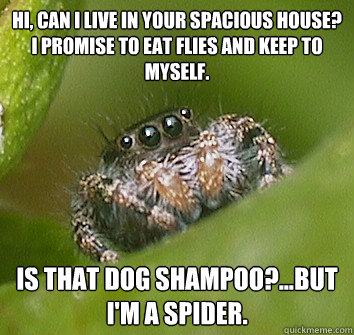 Hi, can i live in your spacious house? I promise to eat flies and keep to myself. Is that dog shampoo?...but i'm a spider. - Hi, can i live in your spacious house? I promise to eat flies and keep to myself. Is that dog shampoo?...but i'm a spider.  Misunderstood Spider