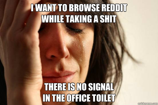 I want to browse reddit
while taking a shit There is no signal
in the office toilet  First World Problems